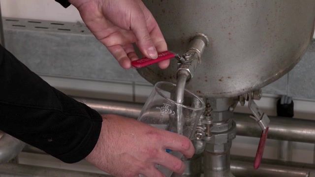 German brewers make beer out of sewage water