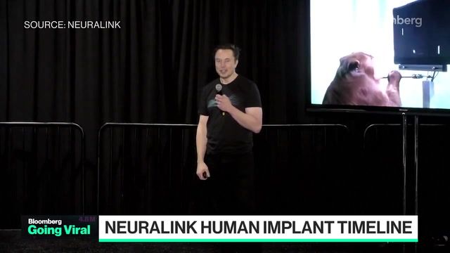 Musk shows off monkey using Neuralink