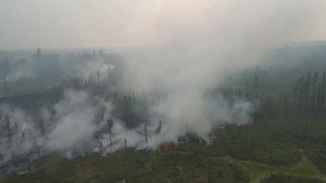 What is fueling massive Siberian wildfires?