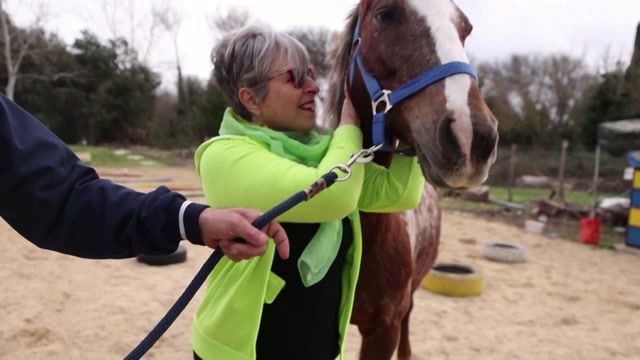 Horses helping patients heal in Rome