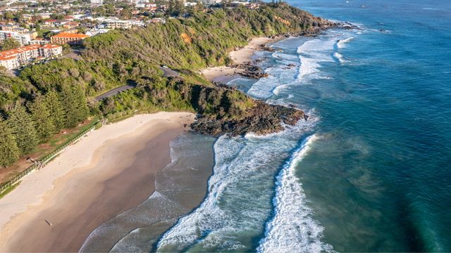 Surfer seriously injured after shark attack near Port Macquarie