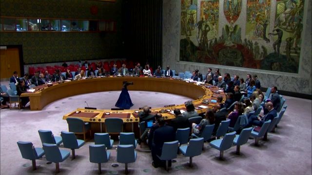 UN Security Council backs Israel-Hamas ceasefire plan