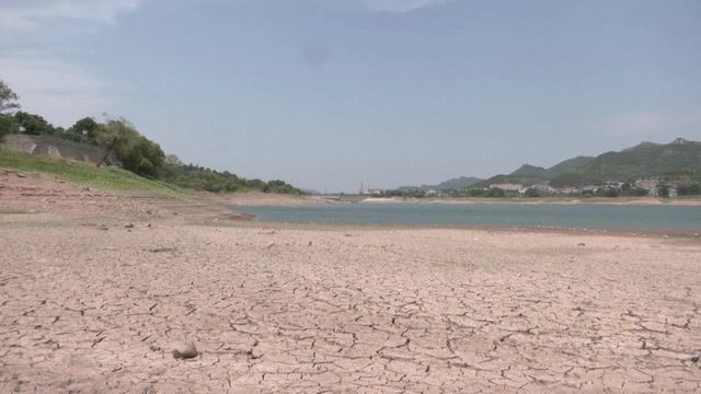 Chinese farmers struggle in the heat as reservoir shrinks