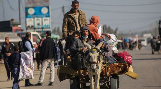 Gazans replace cars with donkey carts amid shortages