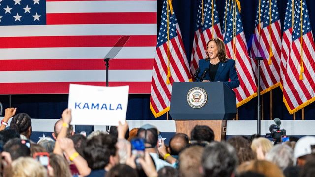Kamala Harris secures delegates needed to become Democratic nominee
