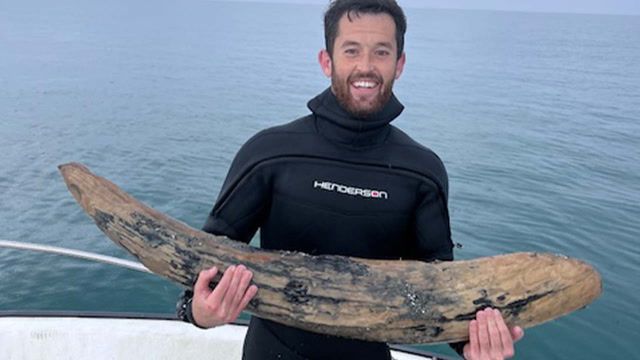 Scuba diver discovers prehistoric tusk off Florida