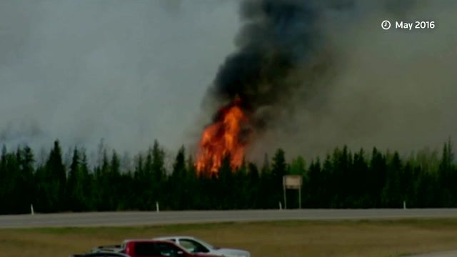 Alberta premier holds back tears as wildfire rages