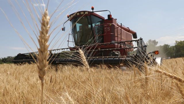 Kazakhstan govt introduces initiatives to increase grain exports